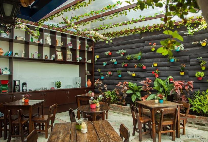 Albergue Hostal Ciudad De Segorbe | Salento | Quindío | Colombia 4