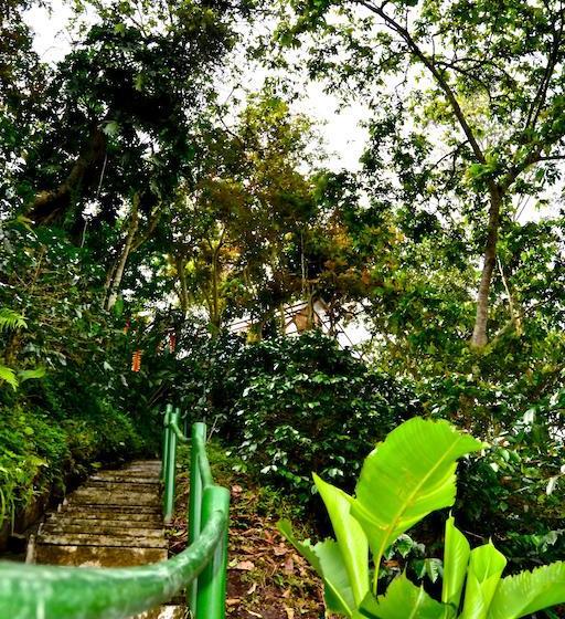 Ecohotel Spa Paraíso Verde | Quibdó | Chocó | Colombia 16