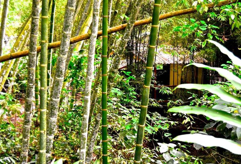 Ecohotel Spa Paraíso Verde | Quibdó | Chocó | Colombia 17