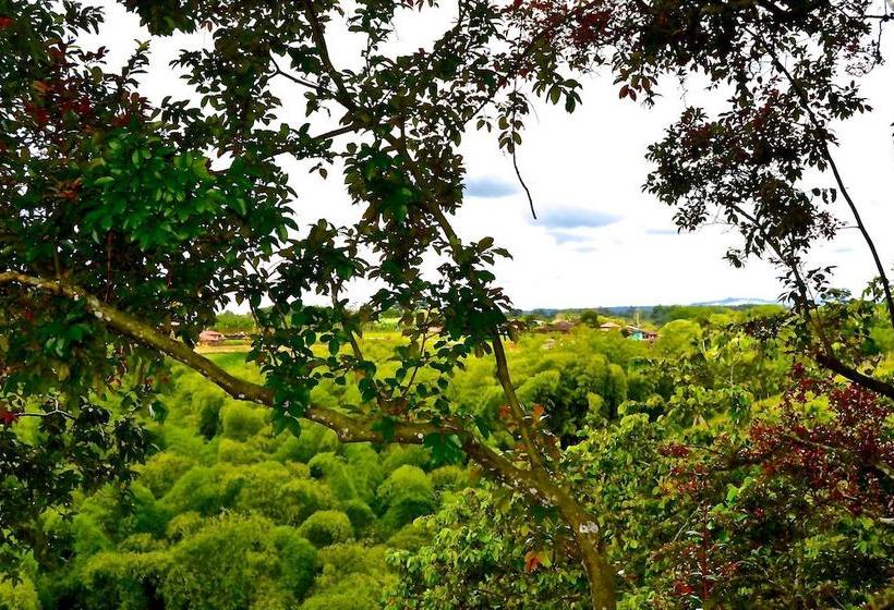 Ecohotel Spa Paraíso Verde | Quibdó | Chocó | Colombia 18