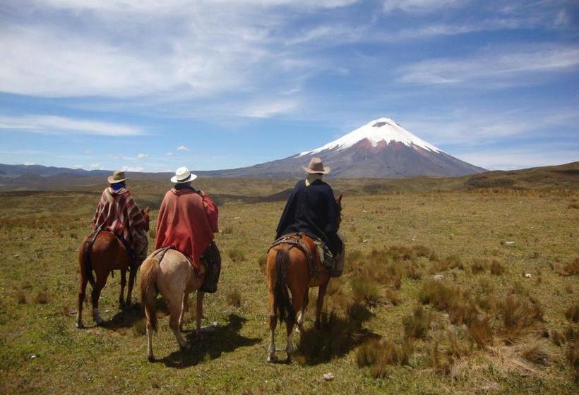 Hotel Hosteria Rumipamba De Las Rosas | San Miguel de Salcedo | Cotopaxi | Ecuador 7