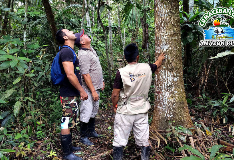 Hotel Cumaceba Lodge | Iquitos | Maynas | Perú 6