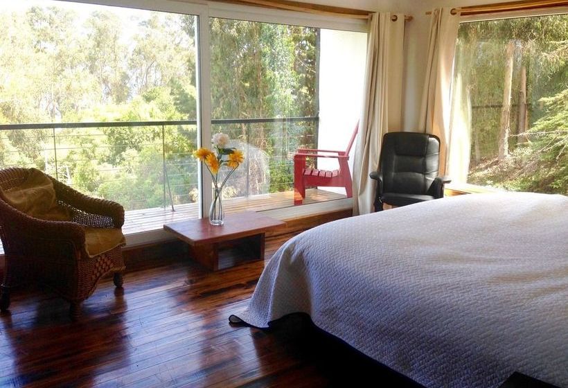 B&b Casa El Pangue Zapallar | Zapallar | Valparaiso | Chile 18