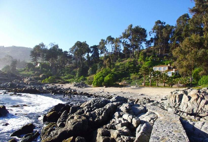 B&b Casa El Pangue Zapallar | Zapallar | Valparaiso | Chile 9