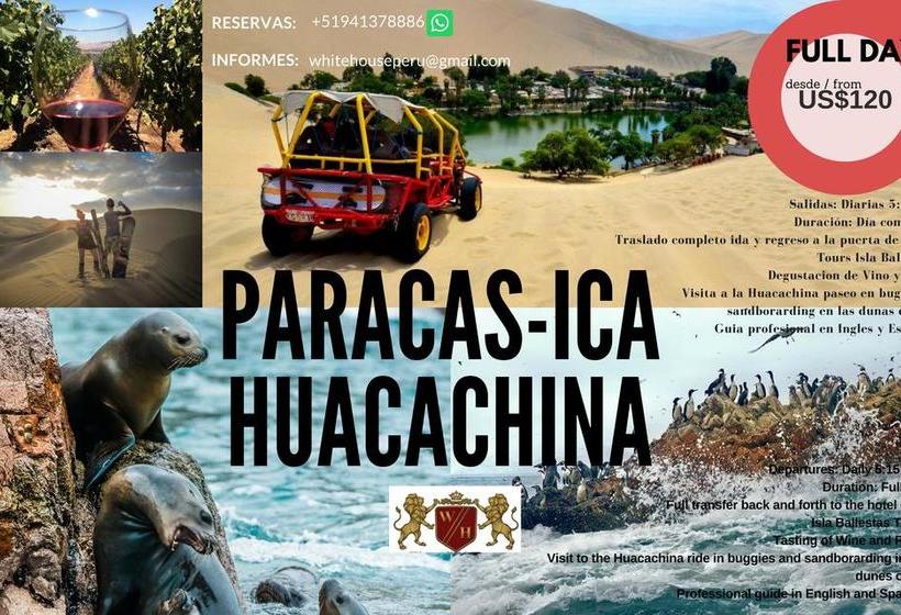 Bed and Breakfast White House Peru | Lima | Lima | Perú 5