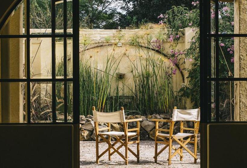 Hotel Sarandi 246 | Salto | Salto | Uruguay 12