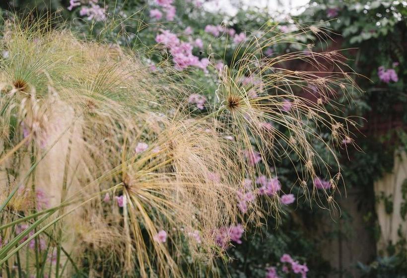 Hotel Sarandi 246 | Salto | Salto | Uruguay 14