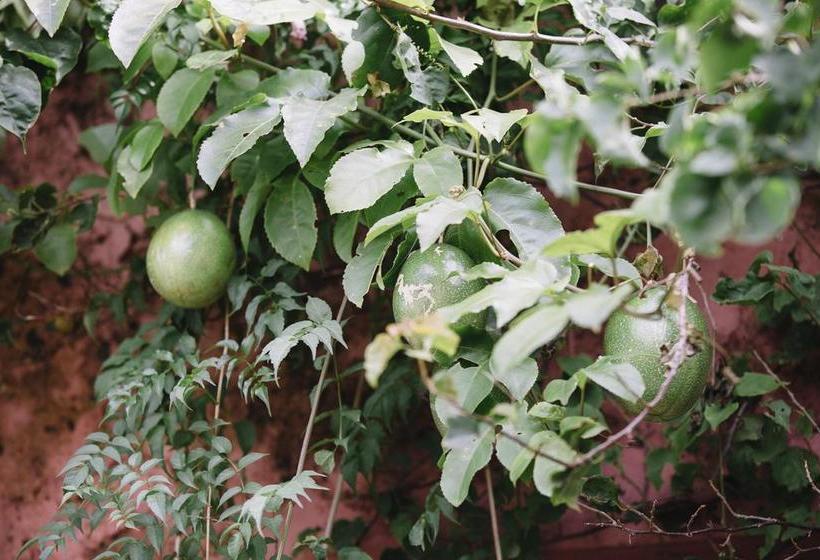 Hotel Sarandi 246 | Salto | Salto | Uruguay 15