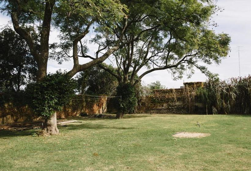 Hotel Sarandi 246 | Salto | Salto | Uruguay 16