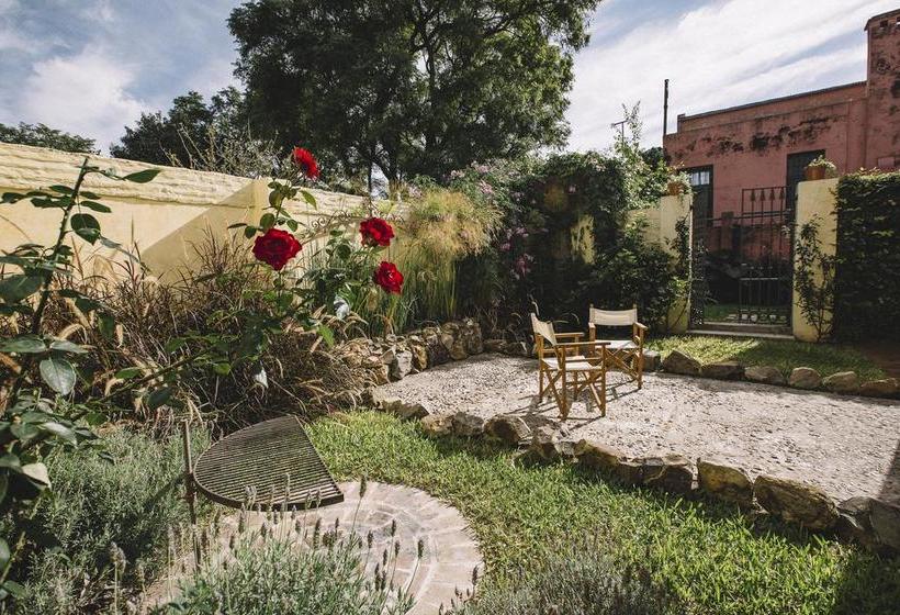 Hotel Sarandi 246 | Salto | Salto | Uruguay 4