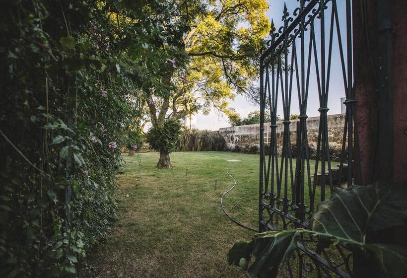 Hotel Sarandi 246 | Salto | Salto | Uruguay 7