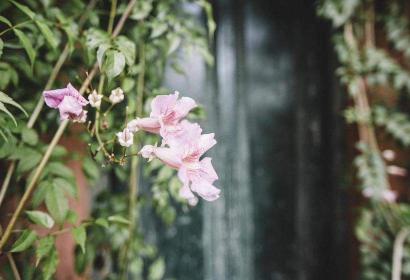 Hotel Sarandi 246 | Salto | Salto | Uruguay 8