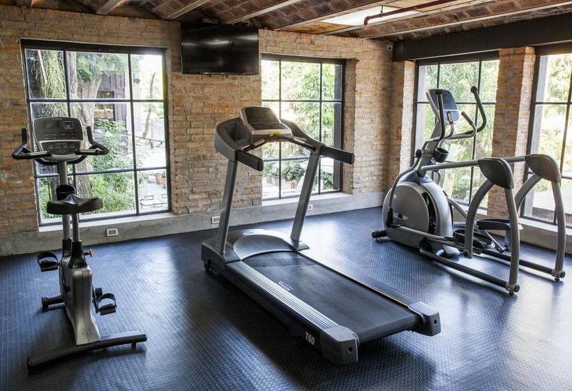 La Alondra Hotel Factoría | Luque | Paraguay | América del Sur 1