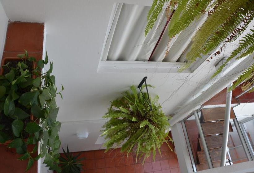 Hotel Romi | Colonia del Sacramento | Colonia | Uruguay 10