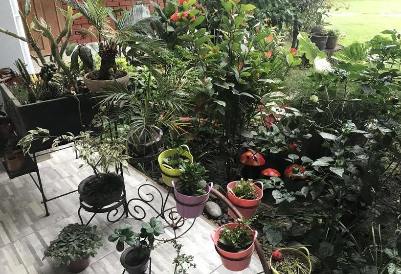 Hotel Maya De La Amazonia | Rurrenabaque | Bolivia | América del Sur 1