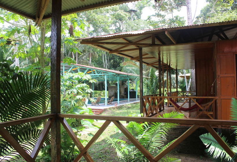 Hotel Monte Amazonico Lodge | Puerto Maldonado | Tambopata | Perú 10