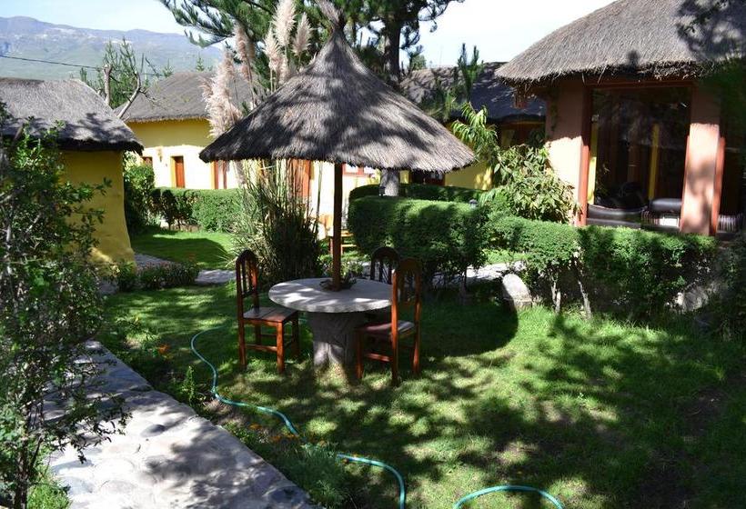 Bed and Breakfast Miskiwasi Bed&Breakfast Caylloma