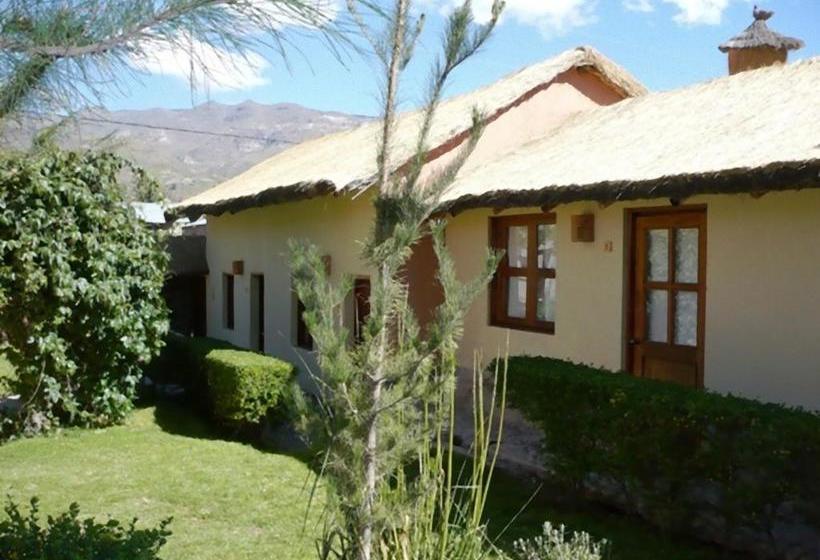 Bed and Breakfast Miskiwasi Bed&Breakfast | Yanque | Caylloma | Perú 6