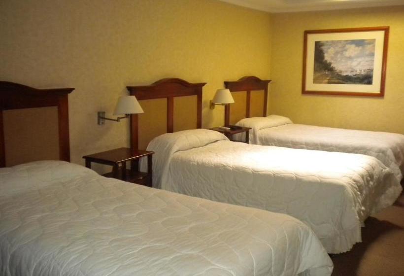 Hotel Capelli Apart | Talca | Maule | Chile 17