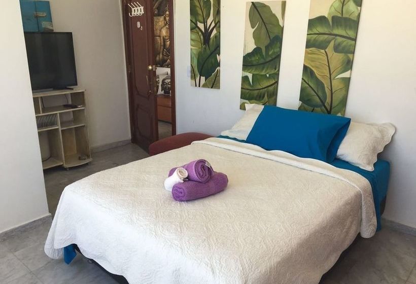 Kristhal Plaza | San Andrés | San Andres y Providencia | Colombia 6