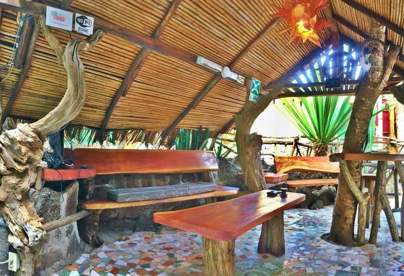 Lonesome George Hostel | Puerto Ayora | Galápagos | Ecuador 19