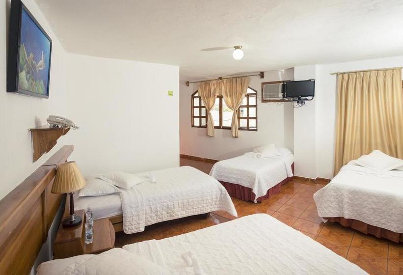 Hotel Grand Lobo Del Mar | Puerto Ayora | Galápagos | Ecuador 14