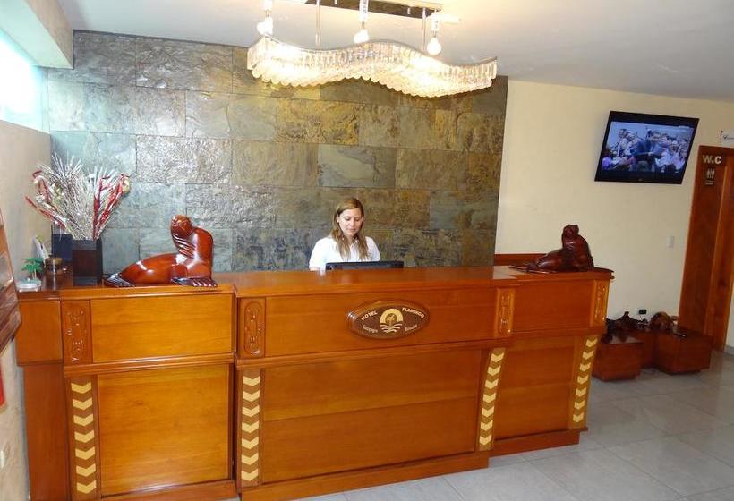 Hotel Flamingo | Puerto Ayora | Galápagos | Ecuador 7