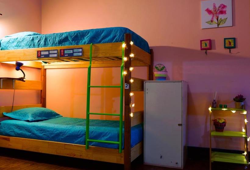 Albergue Santiago Backpackers | Santiago de Chile | Santiago | Chile 4