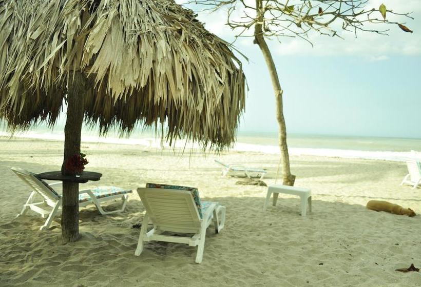 Hotel Hukumeizi | Palomino | La Guajira | Colombia 18