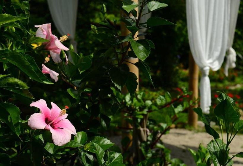 Hotel Casa Semilla | Palomino | La Guajira | Colombia 10
