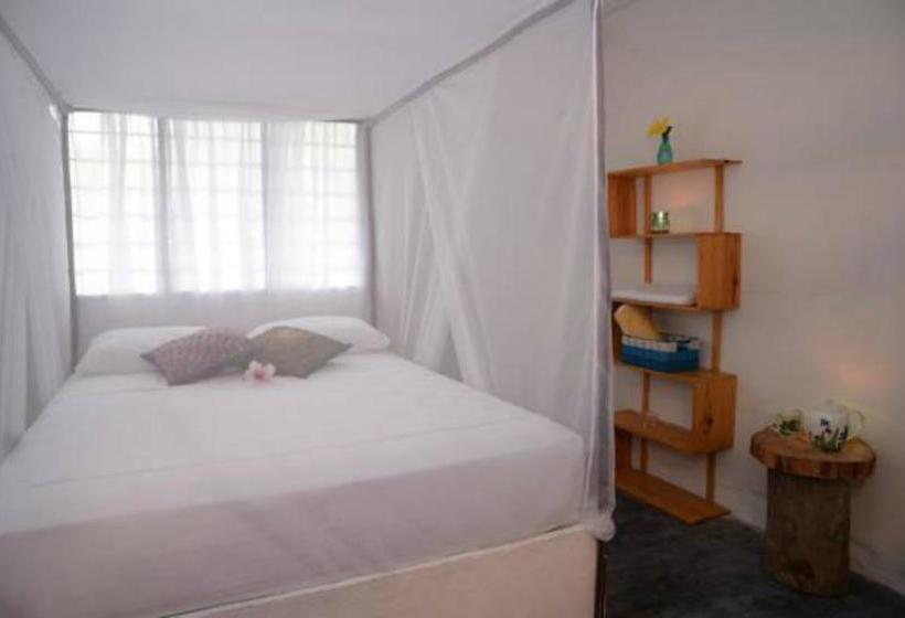 Hotel Casa Semilla | Palomino | La Guajira | Colombia 2