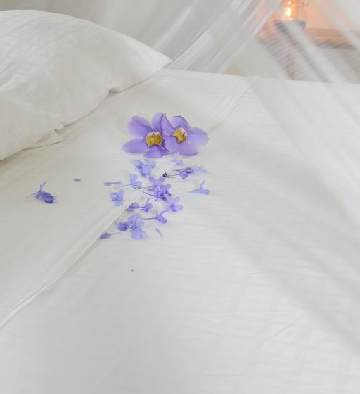 Hotel Casa Semilla | Palomino | La Guajira | Colombia 3