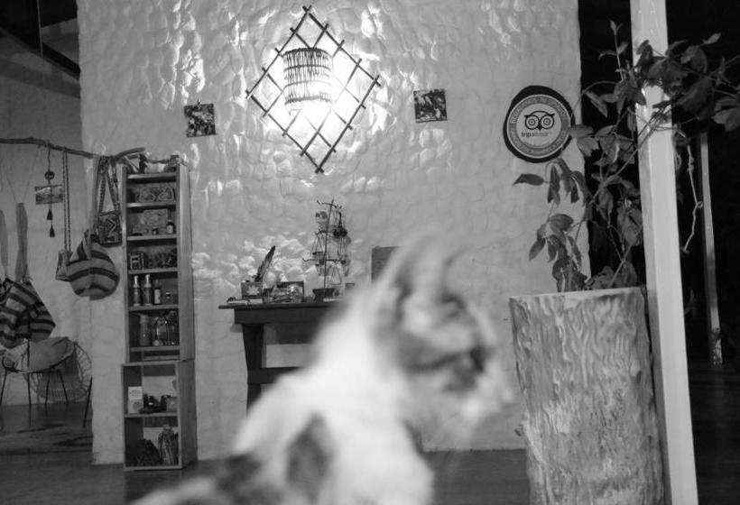 Hotel Casa Semilla | Palomino | La Guajira | Colombia 4