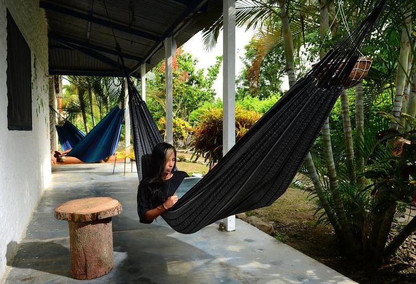 Hotel Casa Semilla | Palomino | La Guajira | Colombia 5