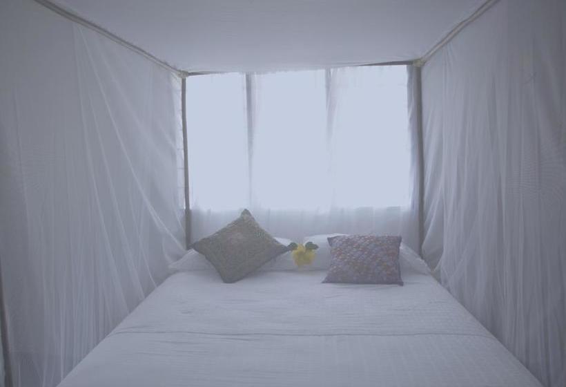 Hotel Casa Semilla | Palomino | La Guajira | Colombia 8