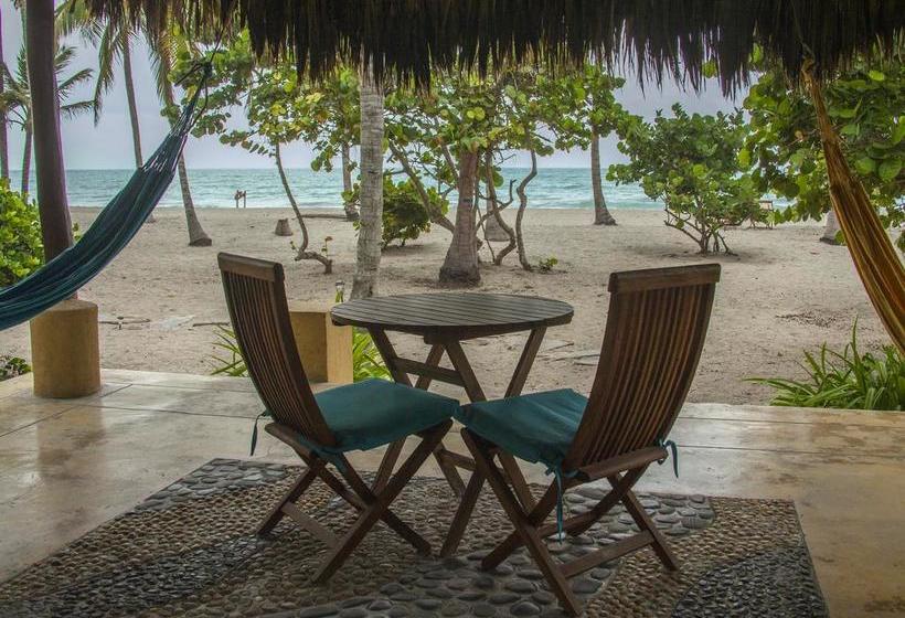 Hotel Aité | Palomino | La Guajira | Colombia 7