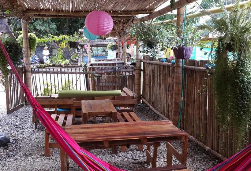 Oasis Hostal Palomino