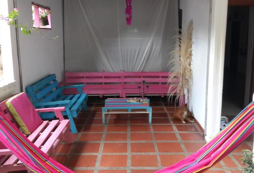 Oasis Hostal | Palomino | La Guajira | Colombia 1