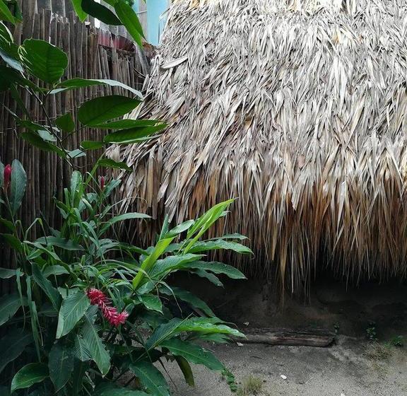 Oasis Hostal | Palomino | La Guajira | Colombia 8