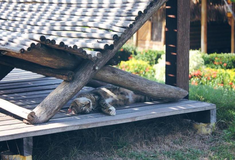 Tiki Hut Hostel | Palomino | La Guajira | Colombia 14