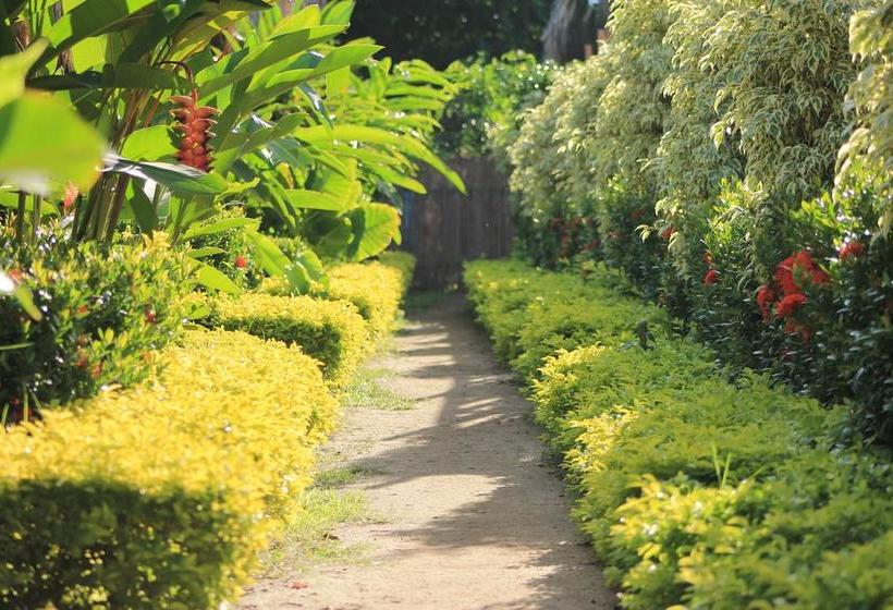 Tiki Hut Hostel | Palomino | La Guajira | Colombia 4