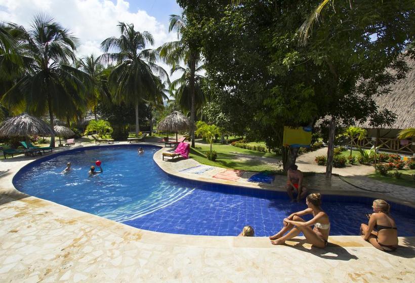 The Dreamer Hostel  Palomino Palomino