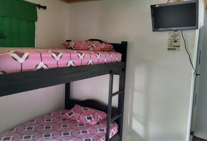 Hotel Brisas de Minca | Minca | Magdalena | Colombia 10