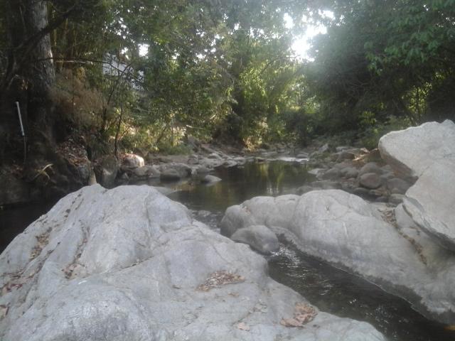 Hotel Brisas de Minca | Minca | Magdalena | Colombia 2