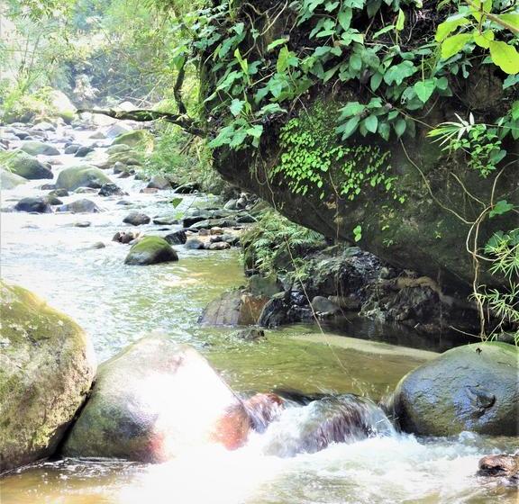 Finca Hostal Bolivar | Minca | Magdalena | Colombia 11