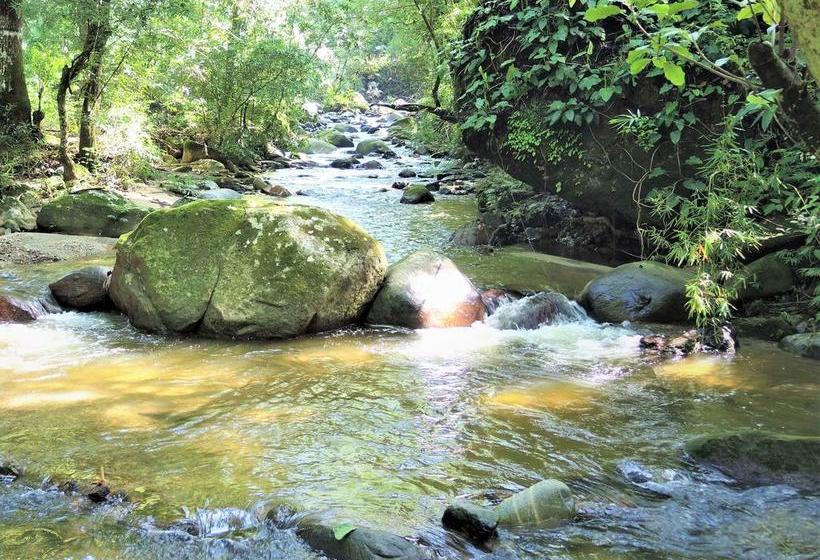 Finca Hostal Bolivar | Minca | Magdalena | Colombia 12