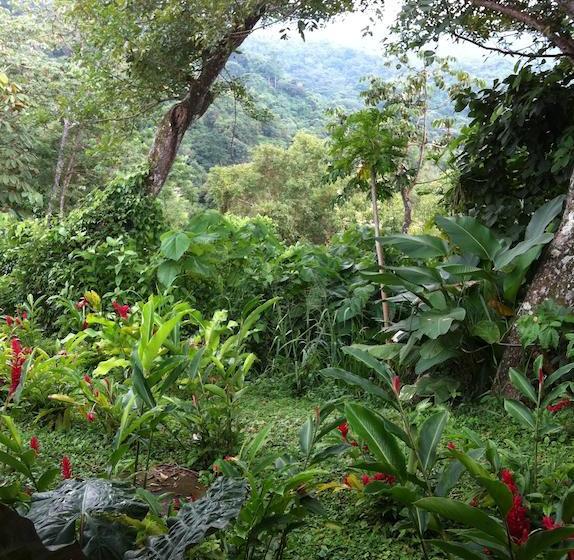 Hotel Minca La Casona | Minca | Magdalena | Colombia 11