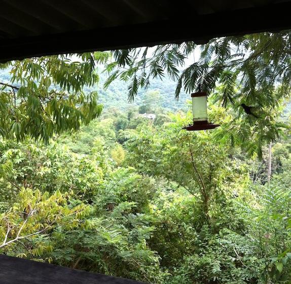 Hotel Minca La Casona | Minca | Magdalena | Colombia 19