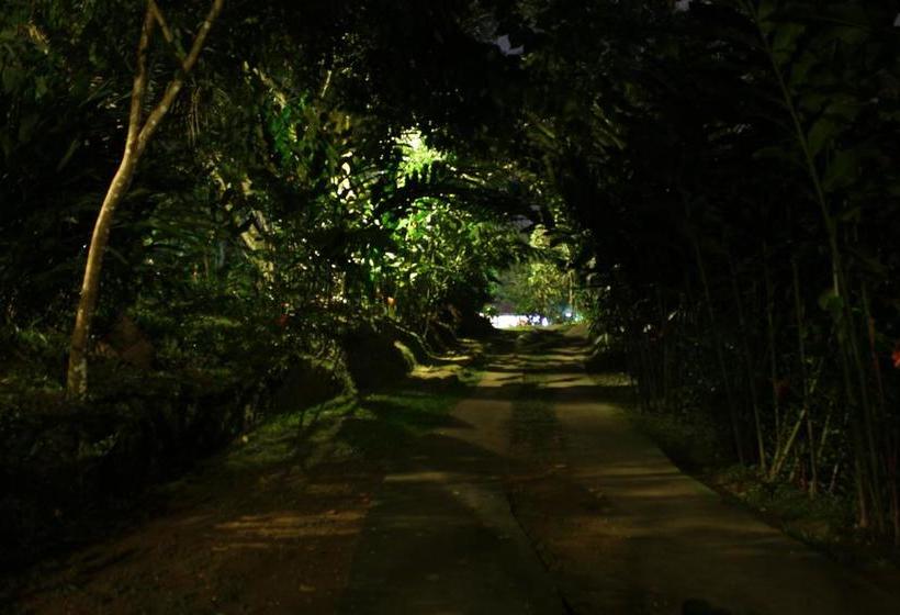 Hotel Minca La Casona | Minca | Magdalena | Colombia 2