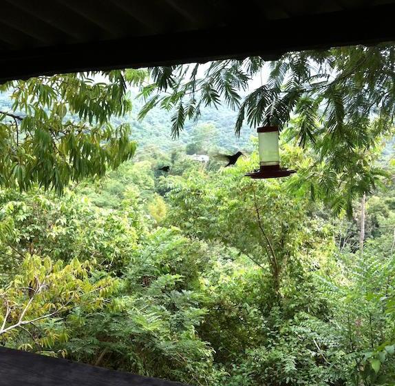 Hotel Minca La Casona | Minca | Magdalena | Colombia 3